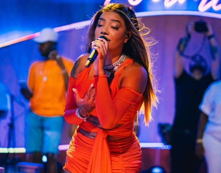 Banner -  Numanice com Ludmilla 