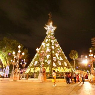 Salvador Christmas 2022 Salvador Christmas 2022