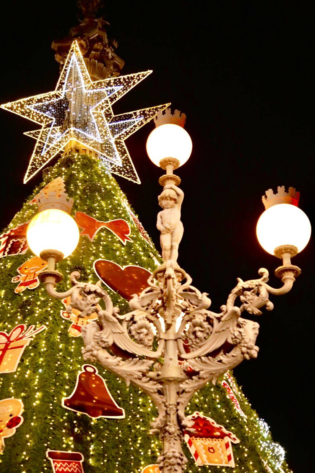Natal Salvador no Campo Grande - Salvador da Bahia Natal Salvador no Campo Grande - Salvador da Bahia