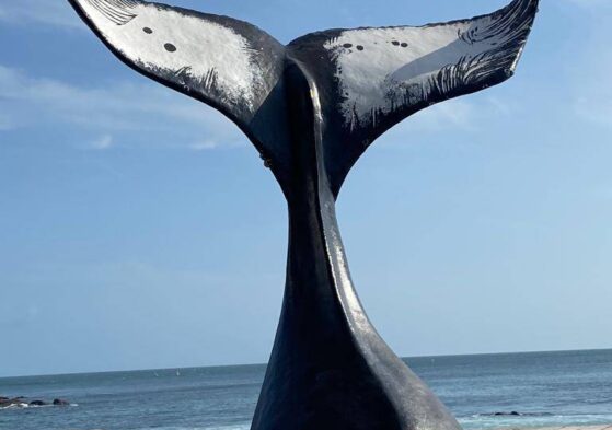 Esculturas celebram observação de baleias em Salvador