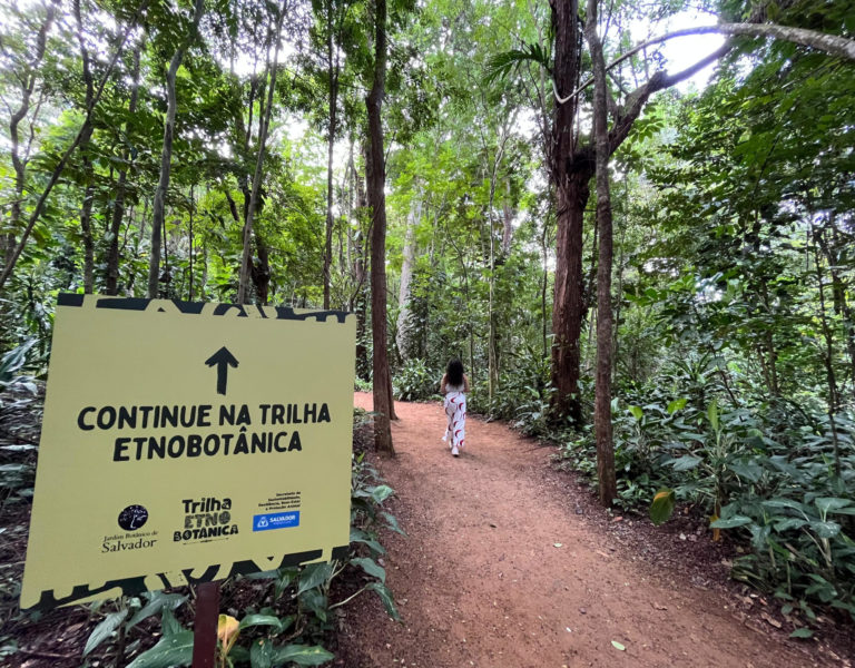 Banner - Jardim Etnobotânico: novo espaço inserido no Jardim Botânico de Salvador