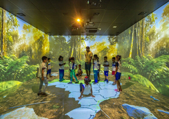 Sala Imersiva - experiência gratuita no Centro de Interpretação da Mata Atlântica (Cima)