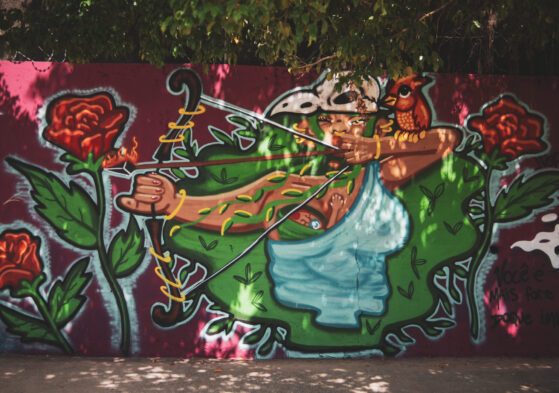 Festival Internacional de Graffiti - Bahia de Todas as Cores (BTC)