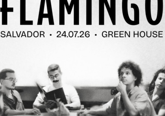 Flerte Flamingo apresenta 