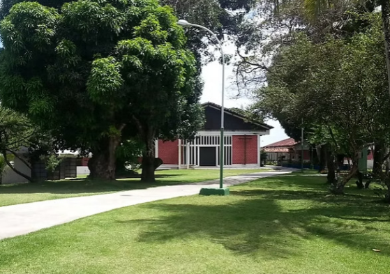 Retiro Curto de Meditação e Silêncio - imersão na prática do zen-budismo