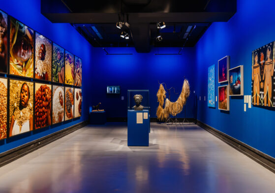 Exposição 