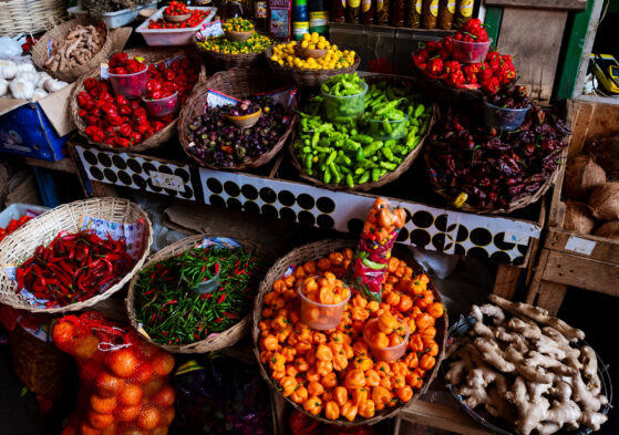“Rolês Afro” – Sabores, saberes e memórias que contam a história da gastronomia baiana em Salvador